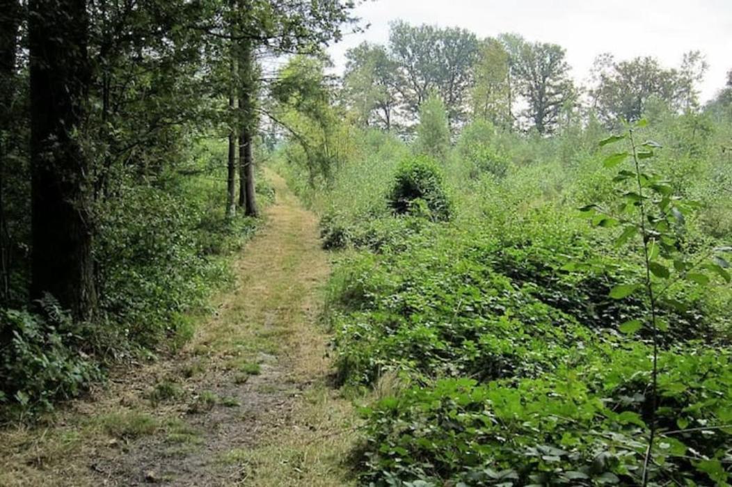 דירות Klarenbeek Het Appense Veld מראה חיצוני תמונה